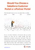 Should You Choose a Salesforce Customer Portal or a Partner Portal PowerPoint PPT Presentation