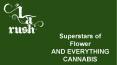 Weed Delivery Northridge - LA Rush PowerPoint PPT Presentation