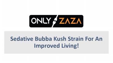 Katsu Bubba Kush Strain | Only Zaza