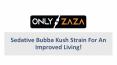 Katsu Bubba Kush Strain | Only Zaza PowerPoint PPT Presentation