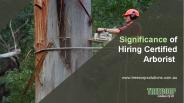 Significance of Hiring Certified Arborist