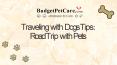 Traveling with Dogs Tips: Road Trip with Pets PowerPoint PPT Presentation