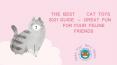 The Best Cat Toys 2021 Guide – Great Fun For Your Feline Friends PowerPoint PPT Presentation