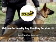 Security Dog Handling Services Ltd Presentation