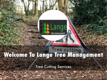 Lange Tree Management Presentation