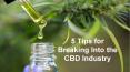 5 Tips for Breaking Into the CBD Industry PowerPoint PPT Presentation