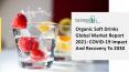 Organic Soft Drinks Industry Growth, Revenue Analysis And Research Forecast 2025 PowerPoint PPT Presentation