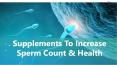 Supplements to Increase Sperm Count & Health PowerPoint PPT Presentation