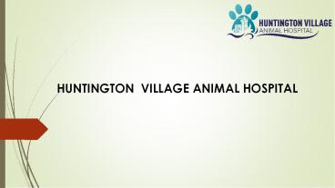 Huntington  Animal Hospital | Huntington vet (1)