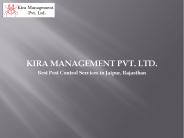 Best pest control services in Jaipur, Rajasthan