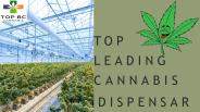 TOP LEADING CANNABIS DISPENSARY