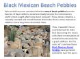 An Inclusive Guide to Understanding All Aspects of Black Mexican Pebbles PowerPoint PPT Presentation