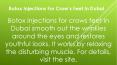 Botox Injections For Crow’s Feet in Dubai PowerPoint PPT Presentation