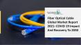 Global Fiber Optical Cable Market Research Analysis Detailed in Latest Research Report 2025 PowerPoint PPT Presentation