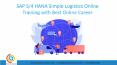 sap s4 hana simple logistics ppt  | s4 hana logistics training PowerPoint PPT Presentation