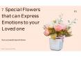 7 Special Flowers that can Express Emotions to your Loved one