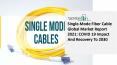 Single-Mode Fiber Cable Market Report Overview, Industry Top Manufacturers, Size, Growth 2021 – 2030 PowerPoint PPT Presentation