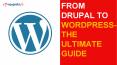 From Drupal to WordPress the Ultimate Guide PowerPoint PPT Presentation