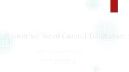 Flowerbed Weed Control Tallahassee