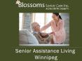 Home care assistance Winnipeg - Senior Assisted Living PowerPoint PPT Presentation
