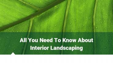 All you need to know about Interior Landscaping