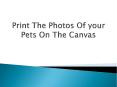 Print-The-Photos-Of-your-Pets-On-The-Canvas PowerPoint PPT Presentation