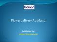 Flower delivery Auckland PowerPoint PPT Presentation