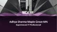 Aditya Sharma Maple Grove MN - Experienced IT Professional PowerPoint PPT Presentation
