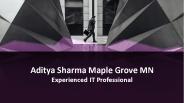 Aditya Sharma Maple Grove MN - Experienced IT Professional