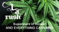 Weed Delivery Chatsworth - LA Rush (1) PowerPoint PPT Presentation