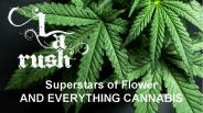 Weed Delivery Chatsworth - LA Rush (1)