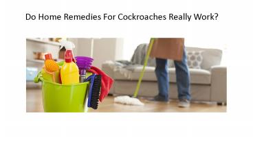 Do Home Remedies For Cockroaches Really Work?