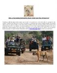 Take a Fascinating Karhandla Jungle Safari and Stay Mesmerized PowerPoint PPT Presentation