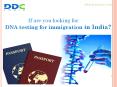 Take DNA Testing for Immigration in India PowerPoint PPT Presentation