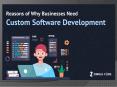 Reasons of Why Businesses Need Custom Software Development PowerPoint PPT Presentation
