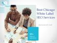 Best Chicago White Label SEO Services - Apexreach.net PowerPoint PPT Presentation