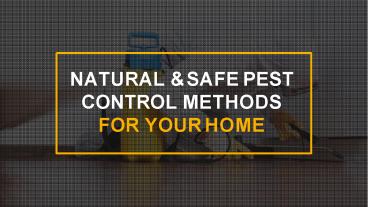Natural & Safe Pest Control Methods For Your Home