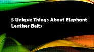 5 Unique Things About Elephant Leather Belts