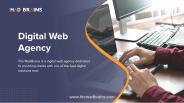 Digital Web Solution | The Mad Brains