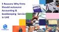 5 Reasons Why firms should outsource Accounting & bookkeeping Services in UAE PowerPoint PPT Presentation