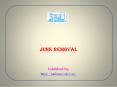 junk removal PowerPoint PPT Presentation