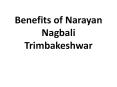 Benefits of Narayan Nagbali Trimbakeshwar PowerPoint PPT Presentation