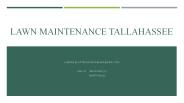 Lawn Maintenance Service Tallahassee