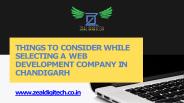 Zealdigitech - Web Development Company in Chandigarh