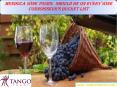Mendoza Wine Tours Should Be On Every Wine Connoisseur’s Bucket List PowerPoint PPT Presentation