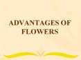 ADVANTAGES OF  FLOWERS PowerPoint PPT Presentation