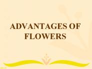 ADVANTAGES OF  FLOWERS
