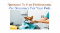 Reasons To Hire Professional Pet Groomers For Your Pets (1) PowerPoint PPT Presentation