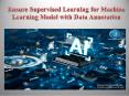 Ensure Supervised Learning for Machine Learning Model with Data Annotation PowerPoint PPT Presentation