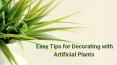 Easy Tips for Decorating with Artifcial Plants PowerPoint PPT Presentation